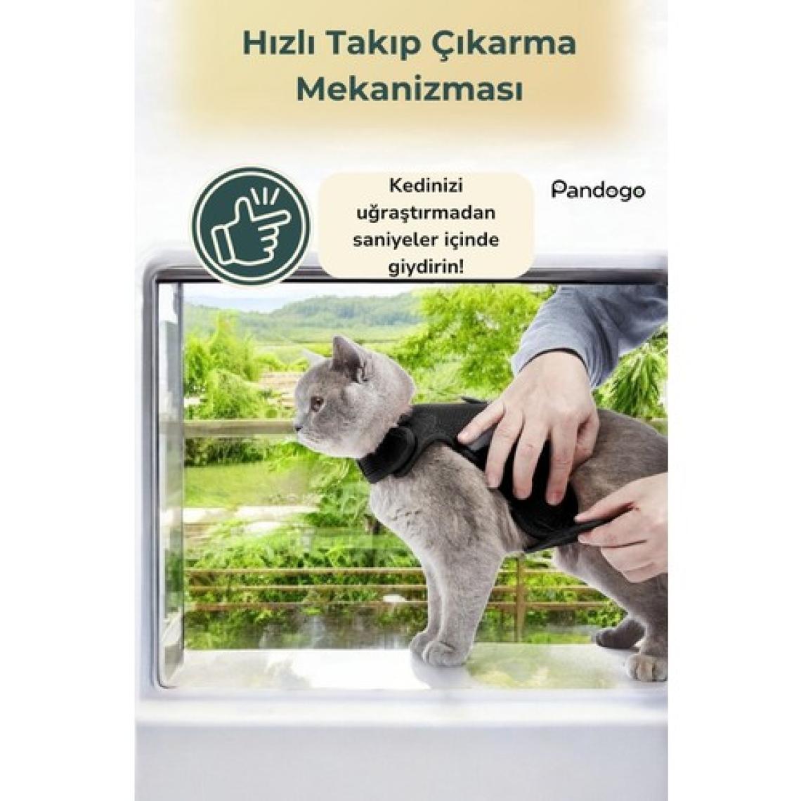 Evene Kedi Tasması Göğüs Boyun Tasma Seti Sevk Kayışlı Terletmeyen Nefes Alan Reflektörlü Tasma