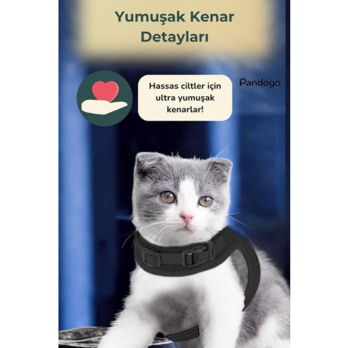 Evene Kedi Tasması Göğüs Boyun Tasma Seti Sevk Kayışlı Terletmeyen Nefes Alan Reflektörlü Tasma