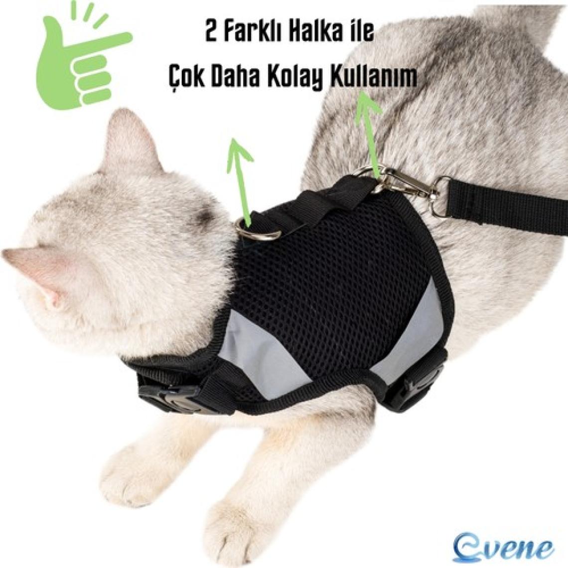Evene Kedi Tasması Göğüs Boyun Tasma Seti Sevk Kayışlı Terletmeyen Nefes Alan Reflektörlü Tasma