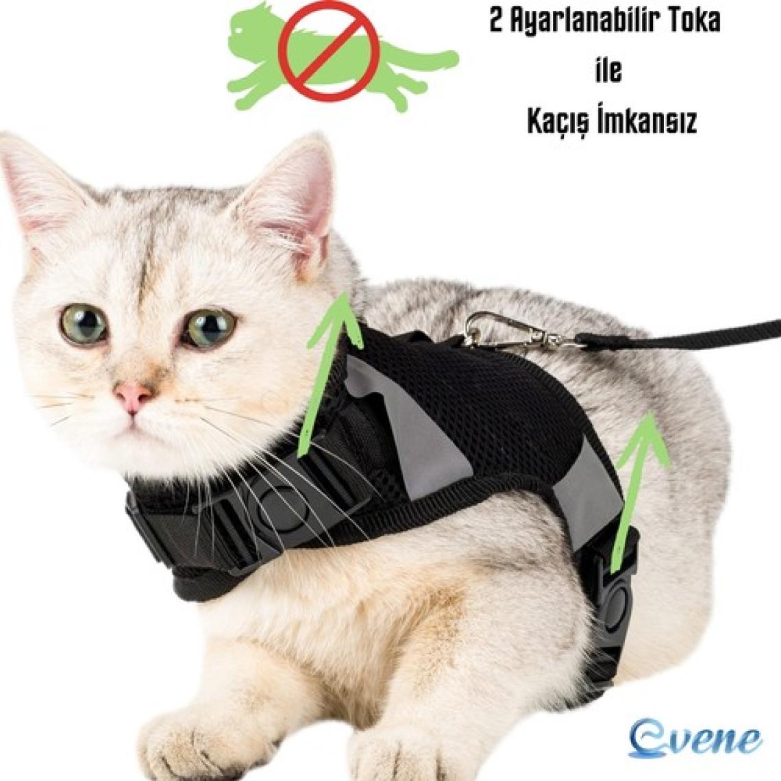 Evene Kedi Tasması Göğüs Boyun Tasma Seti Sevk Kayışlı Terletmeyen Nefes Alan Reflektörlü Tasma
