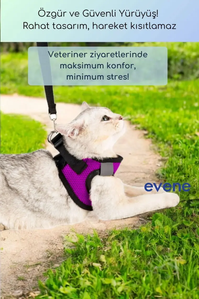 Evene Kedi Tasması Göğüs Boyun Tasma Seti Sevk Kayışlı Terletmeyen Nefes Alan Kumaş Reflektör S