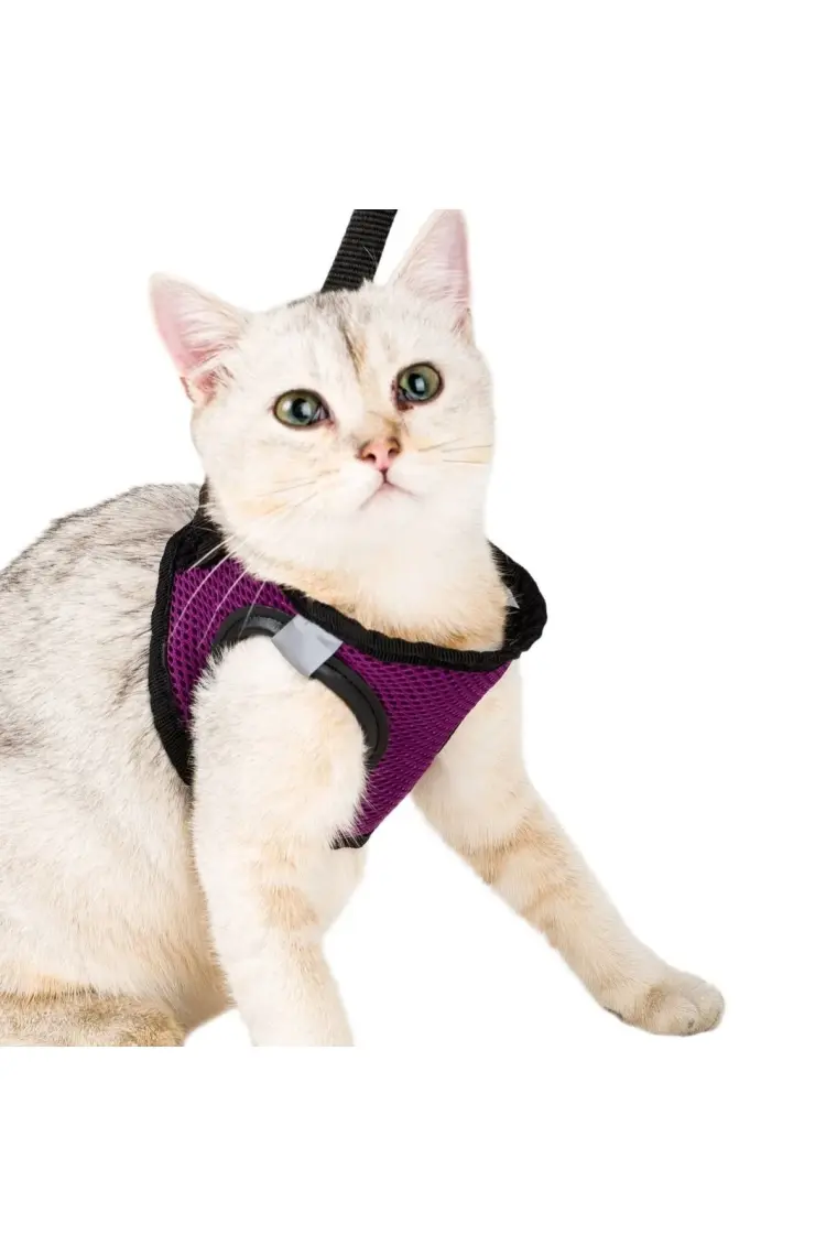 Evene Kedi Tasması Göğüs Boyun Tasma Seti Sevk Kayışlı Terletmeyen Nefes Alan Kumaş Reflektör S
