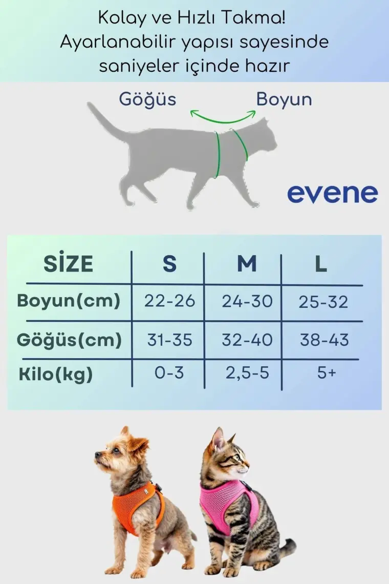 Evene Kedi Tasması Göğüs Boyun Tasma Seti Sevk Kayışlı Terletmeyen Nefes Alan Kumaş Reflektör S