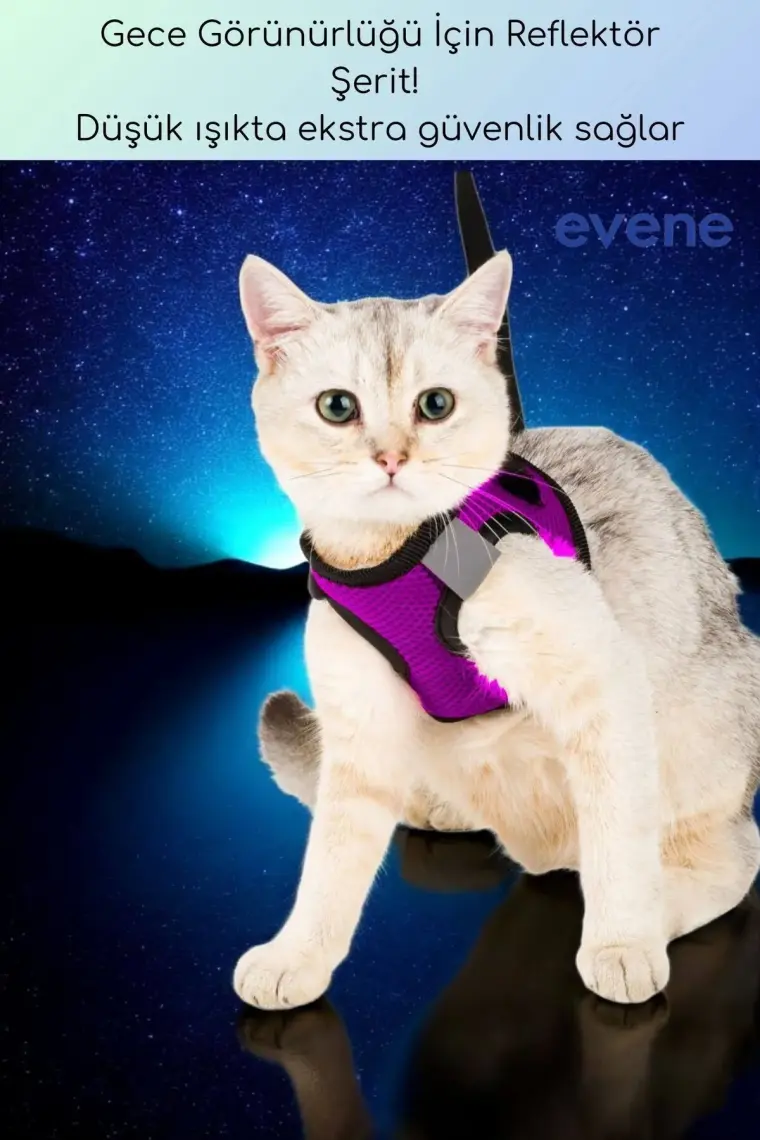 Evene Kedi Tasması Göğüs Boyun Tasma Seti Sevk Kayışlı Terletmeyen Nefes Alan Kumaş Reflektör S