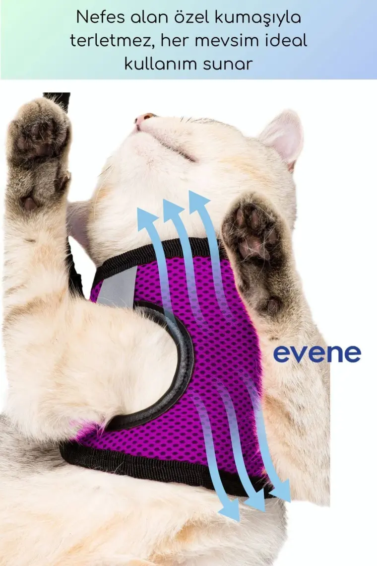 Evene Kedi Tasması Göğüs Boyun Tasma Seti Sevk Kayışlı Terletmeyen Nefes Alan Kumaş Reflektör S
