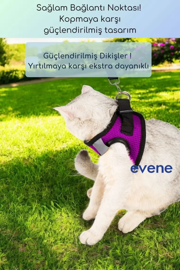 Evene Kedi Tasması Göğüs Boyun Tasma Seti Sevk Kayışlı Terletmeyen Nefes Alan Kumaş Reflektör S
