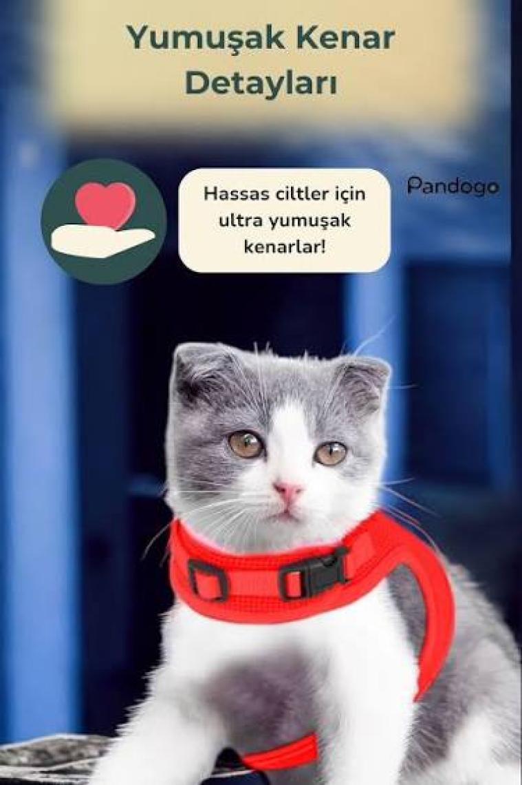 Pandogo Kedi Köpek Tasması Reflektörlü Fileli Hava Alan Kumaş Sevk Kayışlı Kedi Gezdirme Tasması