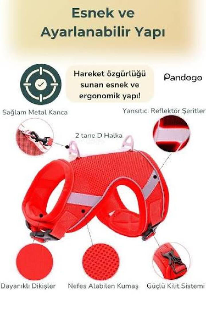 Pandogo Kedi Köpek Tasması Reflektörlü Fileli Hava Alan Kumaş Sevk Kayışlı Kedi Gezdirme Tasması