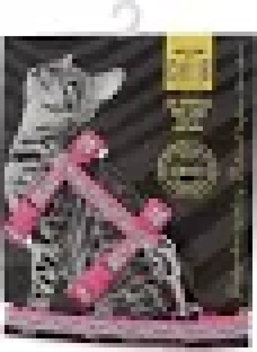 Cattie Desenli Kedi Göğüs ve Gezdirme Tasma Aparatı Pembe 1x25-40