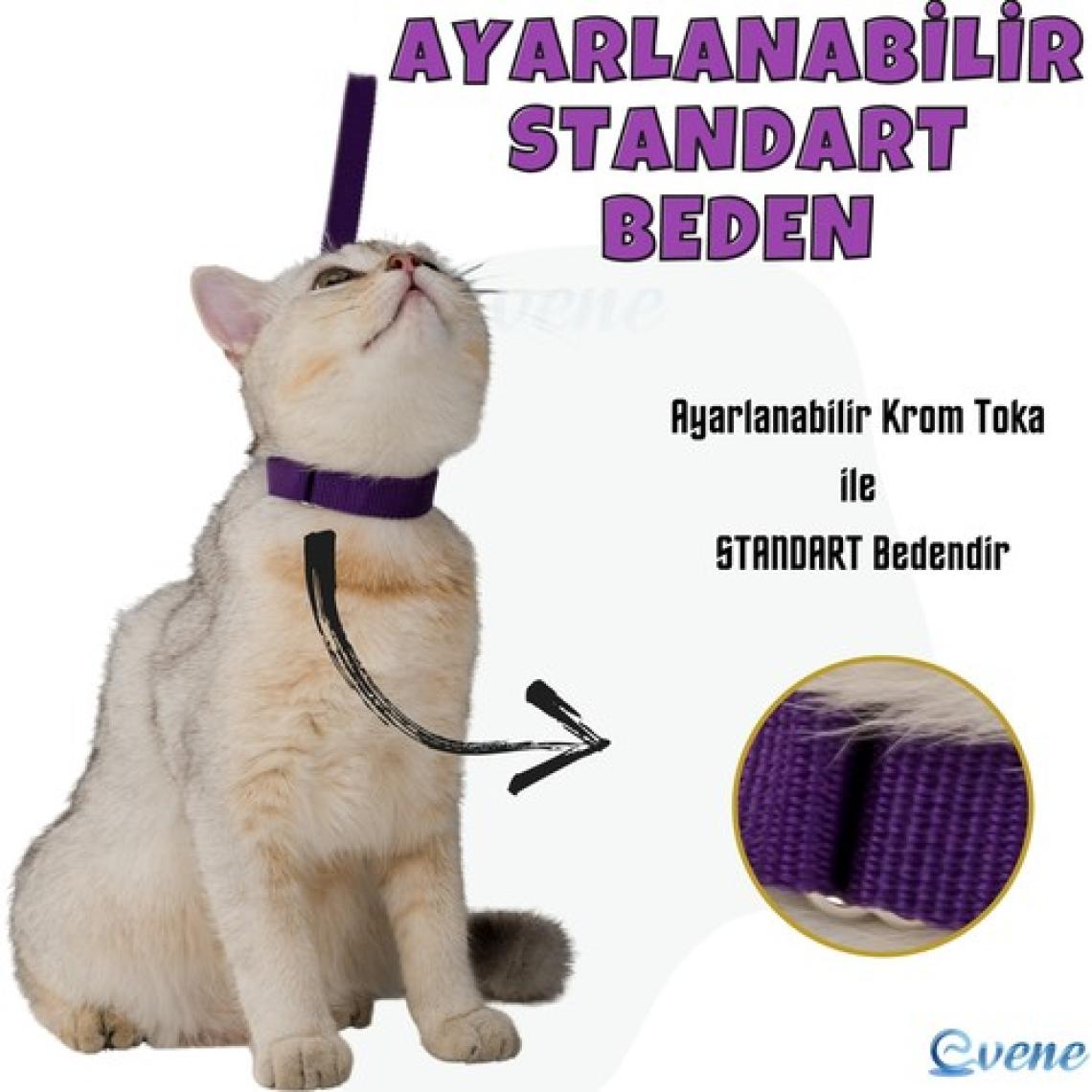 Evene Kedi Tasması Kedi Gögüs Bel Ayarlanabilir Tasma Xz2