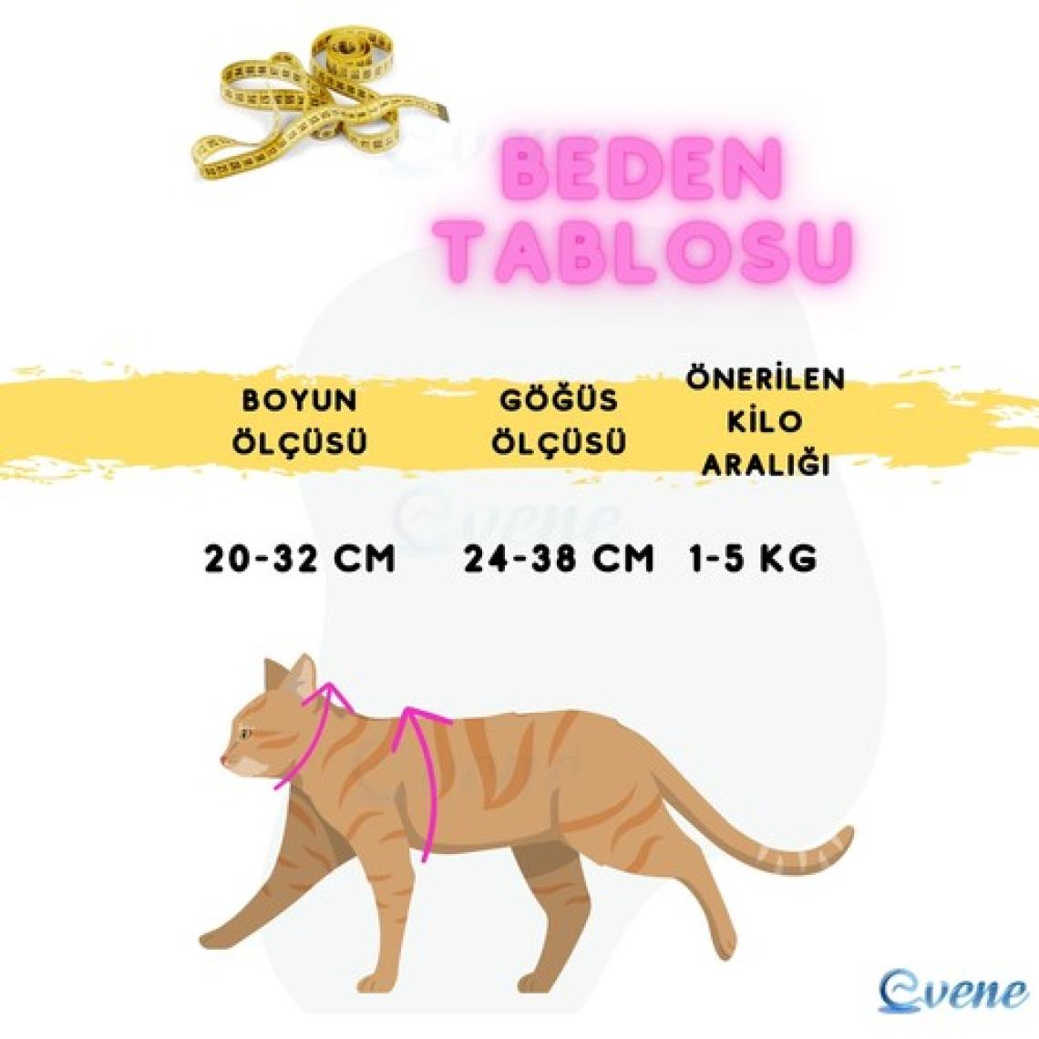 Evene Kedi Tasması Kedi Gögüs Bel Ayarlanabilir Tasma Xz2
