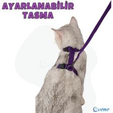 Evene Kedi Tasması Kedi Gögüs Bel Ayarlanabilir Tasma Xz2