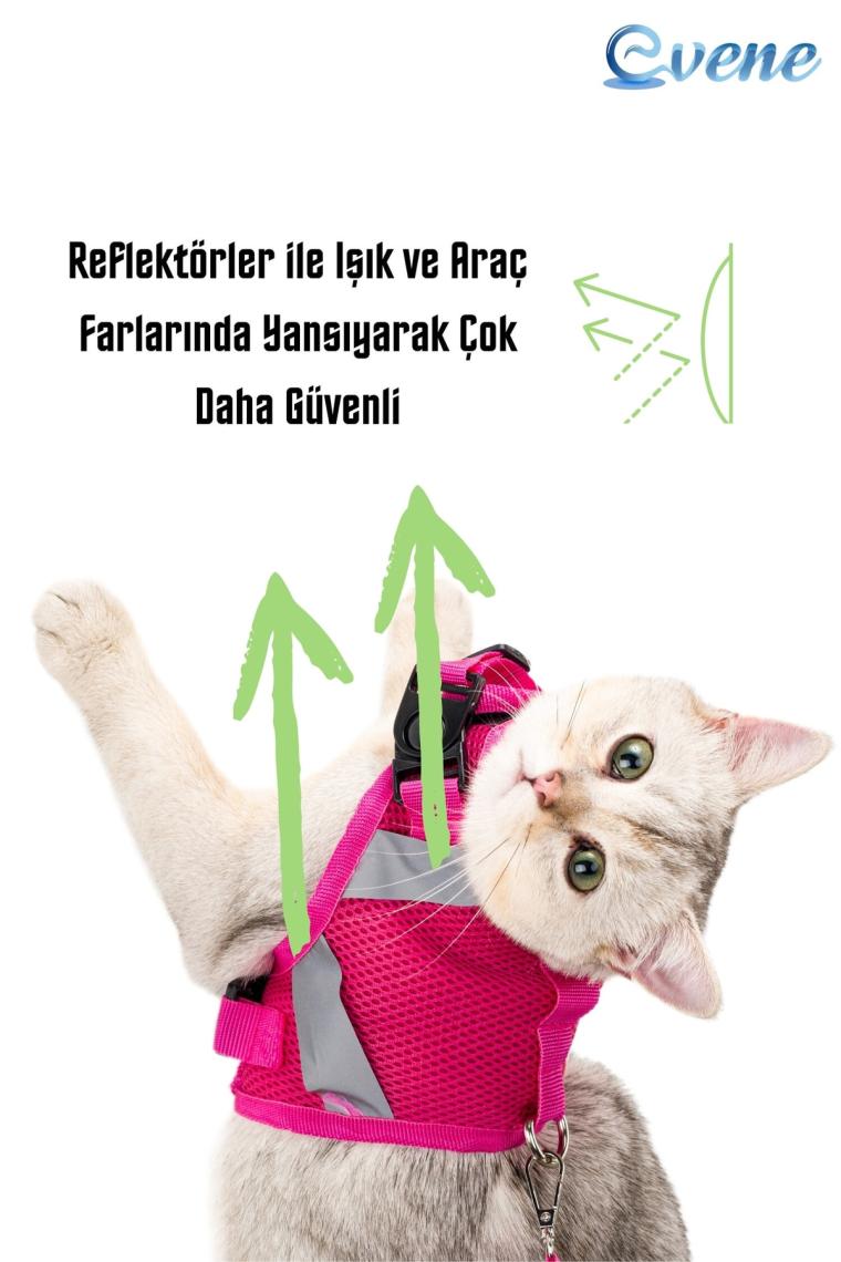 Kedi Tasması Göğüs Boyun Tasma Seti Sevk Kayışlı Terletmeyen Nefes Alan Reflektörlü Tasma L Pembe