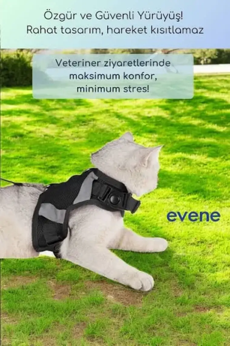 Evene Kedi Tasması Göğüs Boyun Tasma Seti Sevk Kayışlı Terletmeyen Nefes Alan Reflektörlü Tasma