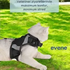 Evene Kedi Tasması Göğüs Boyun Tasma Seti Sevk Kayışlı Terletmeyen Nefes Alan Reflektörlü Tasma