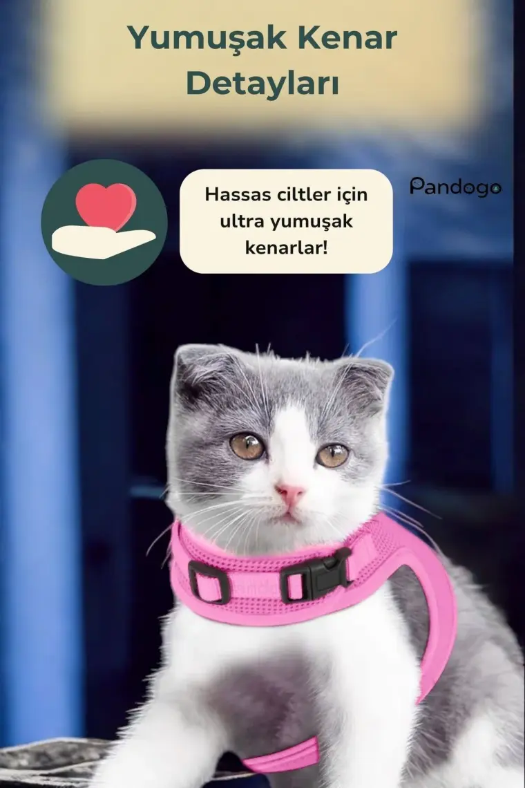 Pandogo Kedi Köpek Tasması Reflektörlü Fileli Hava Alan Kumaş Sevk Kayışlı Kedi Gezdirme Tasması