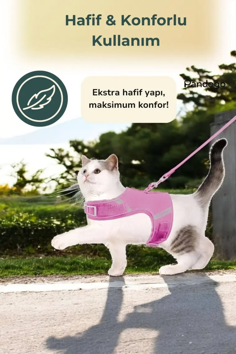 Pandogo Kedi Köpek Tasması Reflektörlü Fileli Hava Alan Kumaş Sevk Kayışlı Kedi Gezdirme Tasması