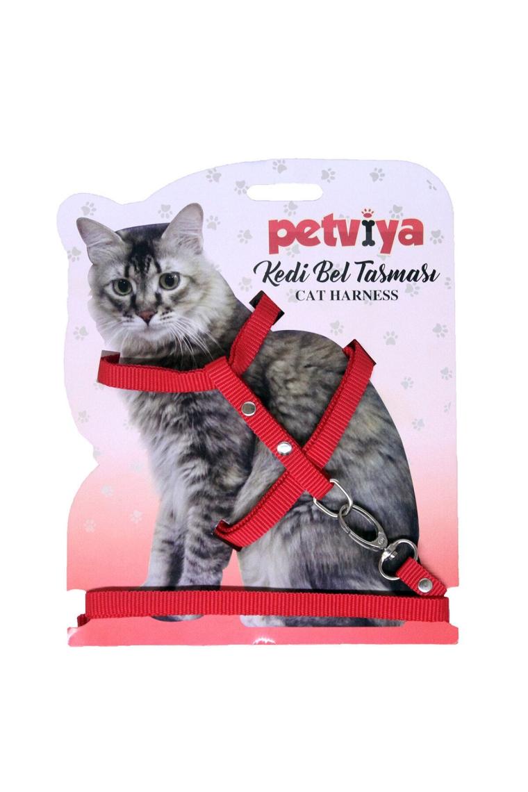 Petviya Kedi Göğüs (Bel) Tasması