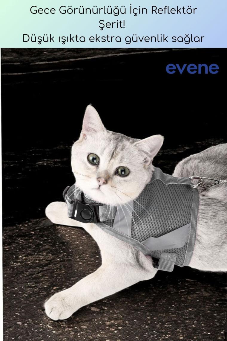 Evene Kedi Tasması Göğüs Boyun Tasma Seti Sevk Kayışlı Terletmeyen Nefes Alan Reflektörlü Tasma Gri L