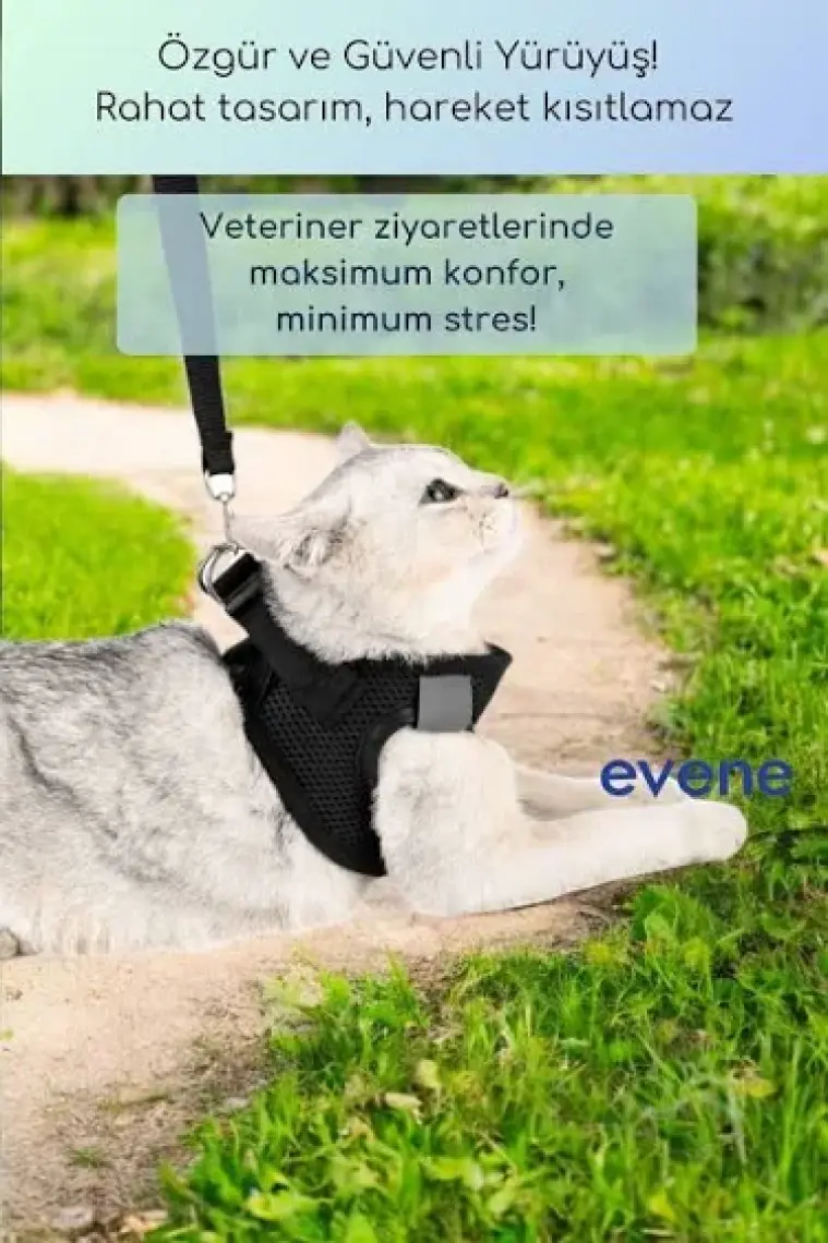 Evene Kedi Tasması Göğüs Boyun Tasma Seti Sevk Kayışlı Terletmeyen Nefes Alan Kumaş Reflektör S