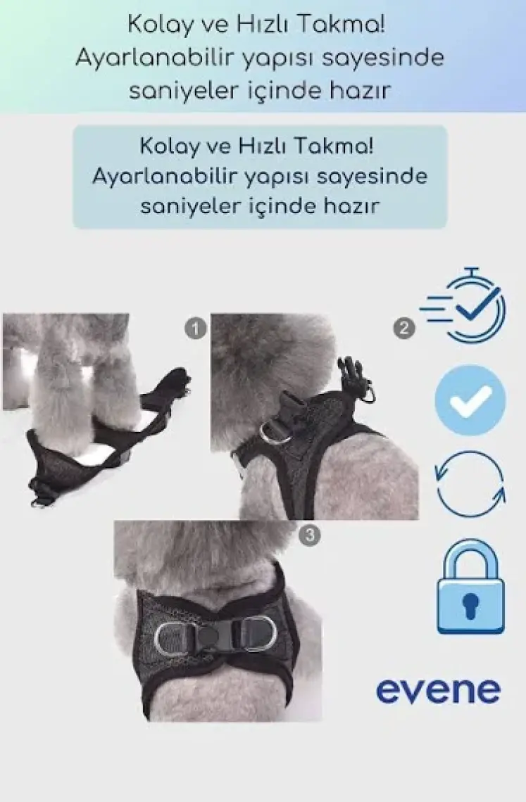 Evene Kedi Tasması Göğüs Boyun Tasma Seti Sevk Kayışlı Terletmeyen Nefes Alan Kumaş Reflektör S