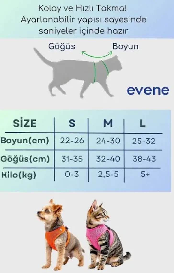 Evene Kedi Tasması Göğüs Boyun Tasma Seti Sevk Kayışlı Terletmeyen Nefes Alan Kumaş Reflektör S