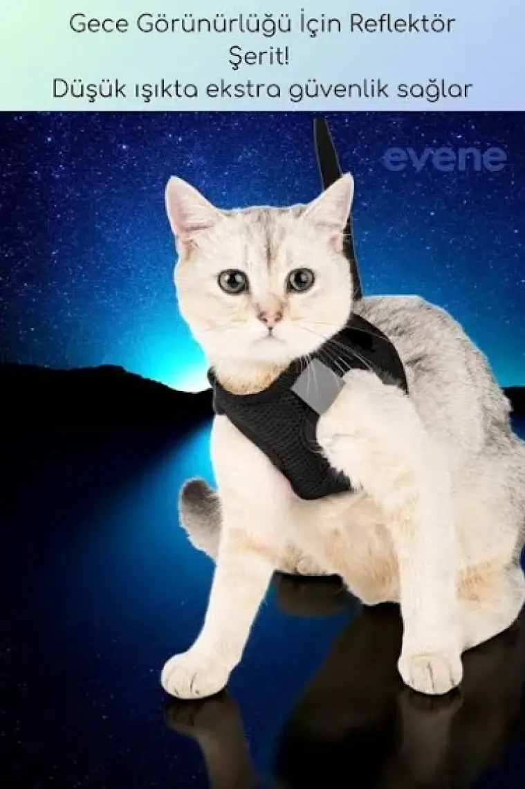 Evene Kedi Tasması Göğüs Boyun Tasma Seti Sevk Kayışlı Terletmeyen Nefes Alan Kumaş Reflektör S
