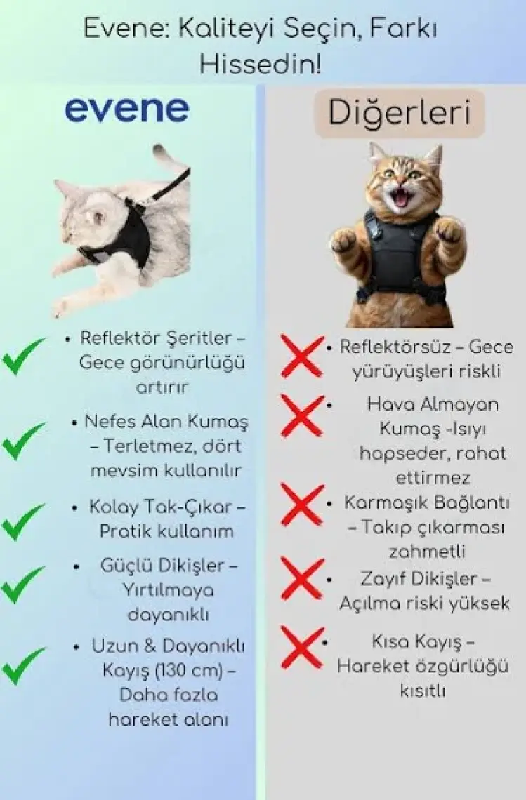 Evene Kedi Tasması Göğüs Boyun Tasma Seti Sevk Kayışlı Terletmeyen Nefes Alan Kumaş Reflektör S