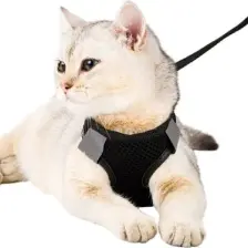 Evene Kedi Tasması Göğüs Boyun Tasma Seti Sevk Kayışlı Terletmeyen Nefes Alan Kumaş Reflektör S
