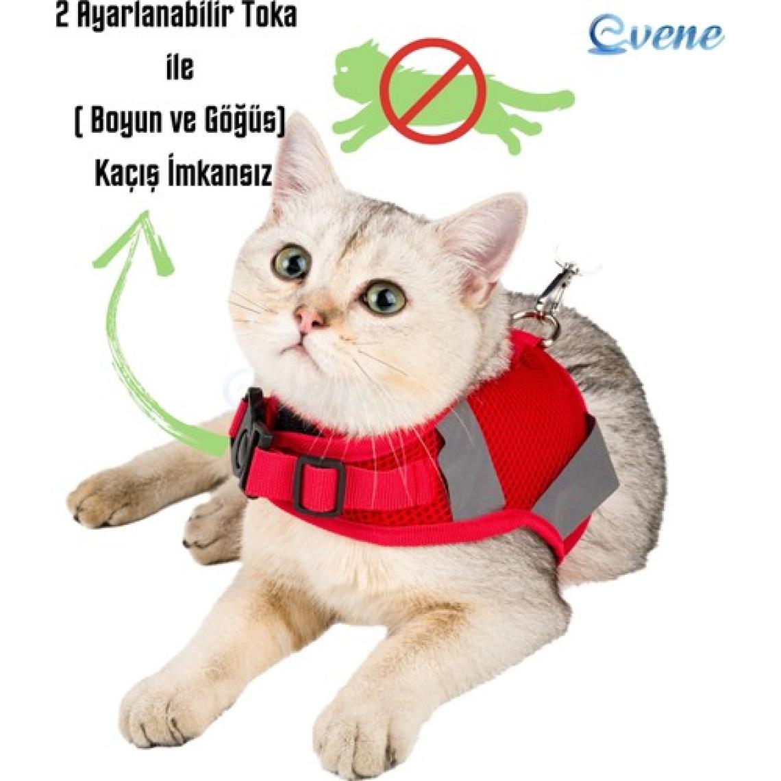 Evene Kedi Tasması Göğüs Boyun Tasma Seti Sevk Kayışlı Terletmeyen Nefes Alan Reflektörlü Tasma Kırmızı S
