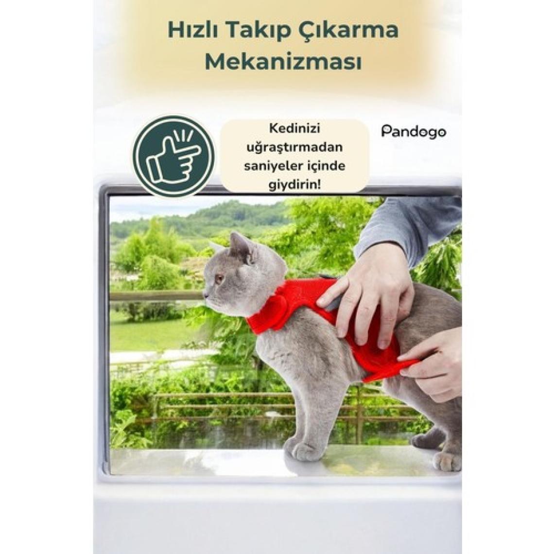 Evene Kedi Tasması Göğüs Boyun Tasma Seti Sevk Kayışlı Terletmeyen Nefes Alan Reflektörlü Tasma Kırmızı S