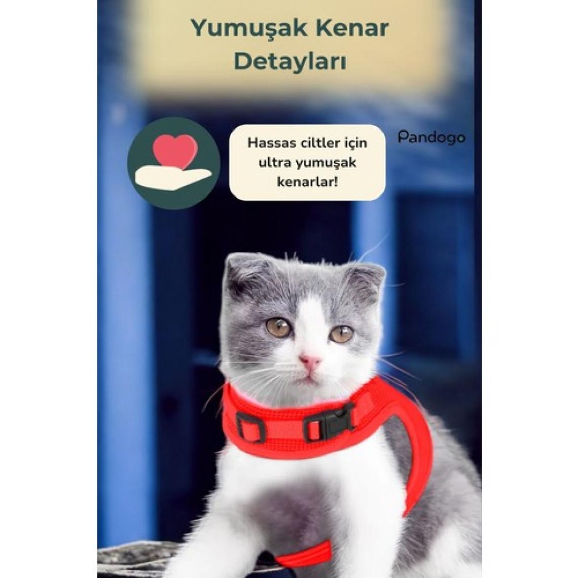 Evene Kedi Tasması Göğüs Boyun Tasma Seti Sevk Kayışlı Terletmeyen Nefes Alan Reflektörlü Tasma Kırmızı S