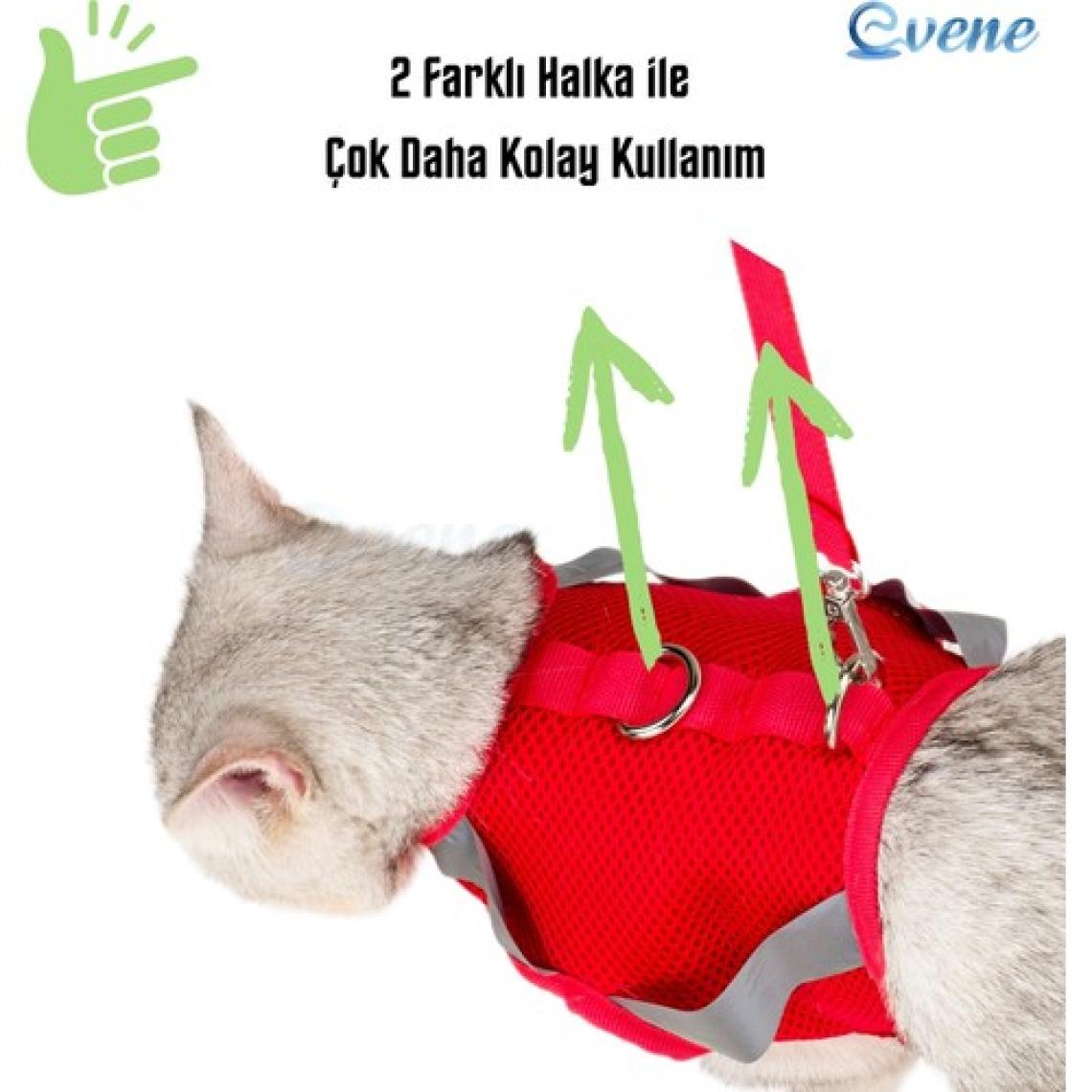 Evene Kedi Tasması Göğüs Boyun Tasma Seti Sevk Kayışlı Terletmeyen Nefes Alan Reflektörlü Tasma Kırmızı S
