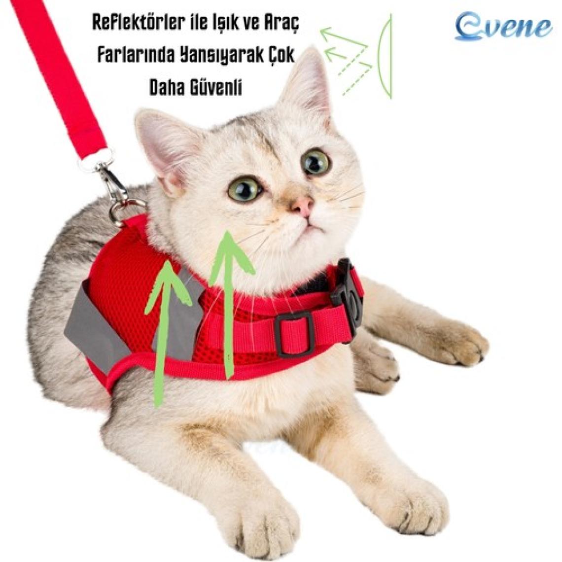 Evene Kedi Tasması Göğüs Boyun Tasma Seti Sevk Kayışlı Terletmeyen Nefes Alan Reflektörlü Tasma Kırmızı S
