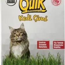 Quik Gerçek Topraklı Kedi Çimi