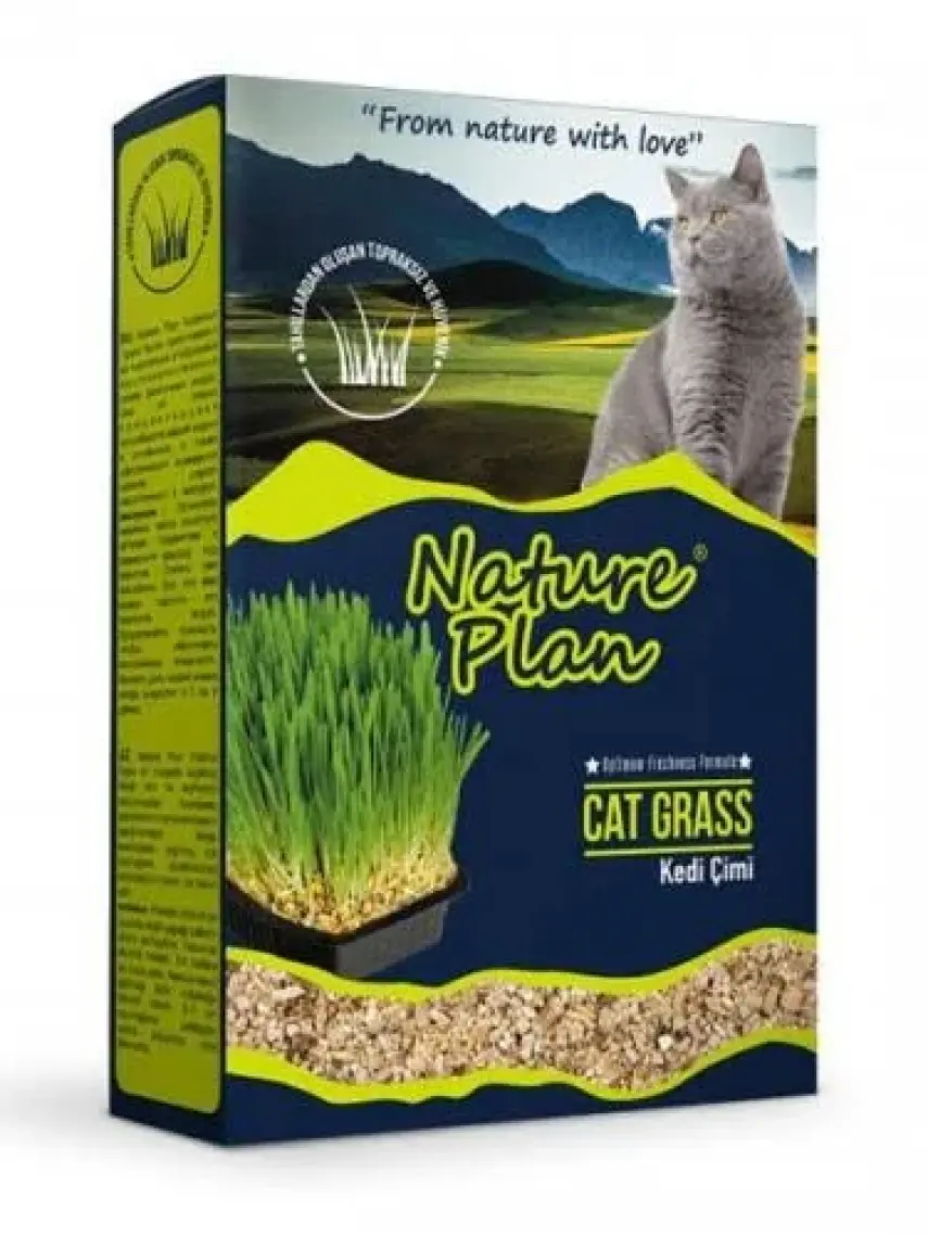 Nature Plan Kedi Çimi