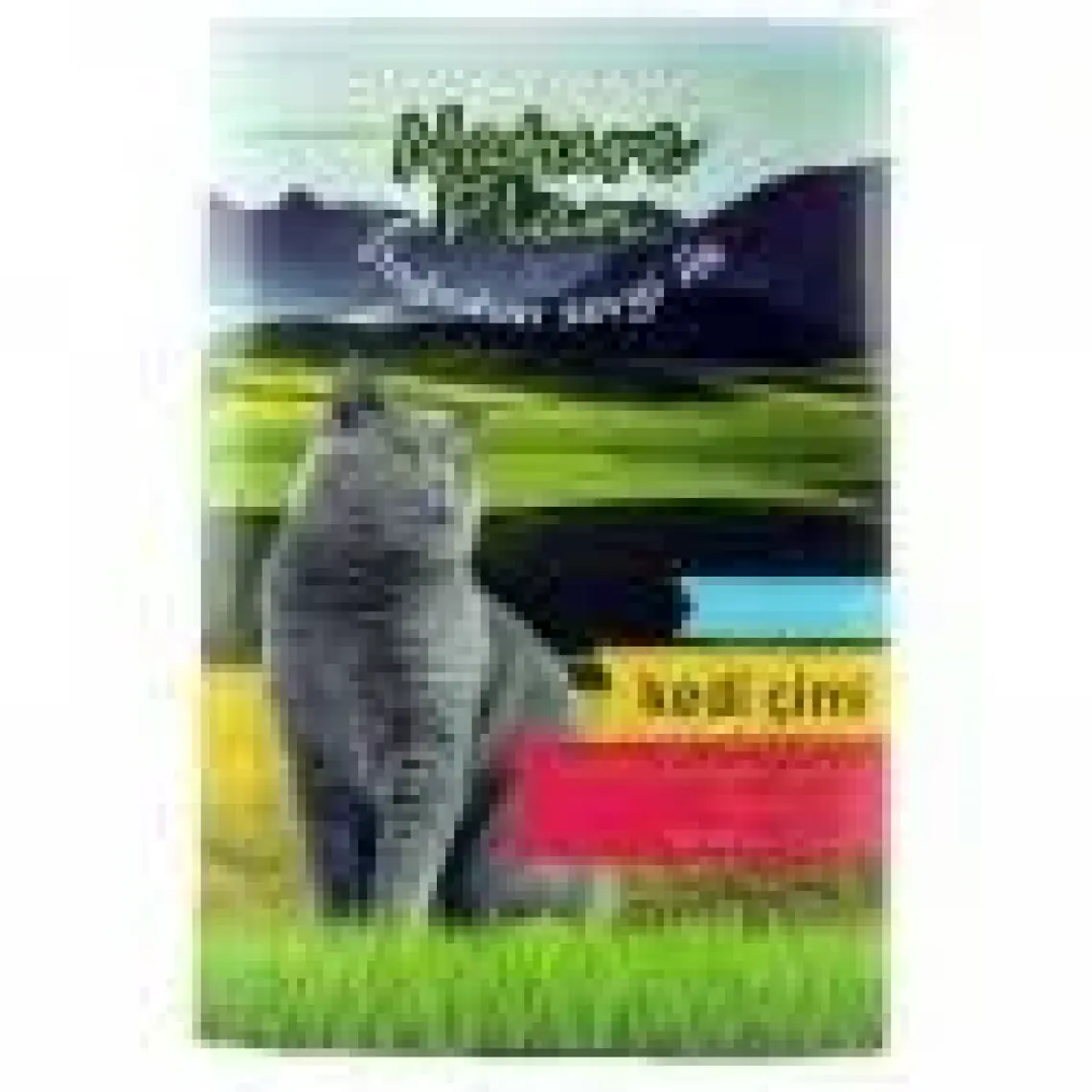 Nature Plan Kedi Çimi