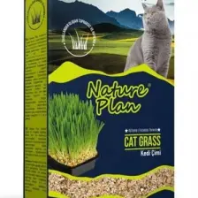 Nature Plan Kedi Çimi