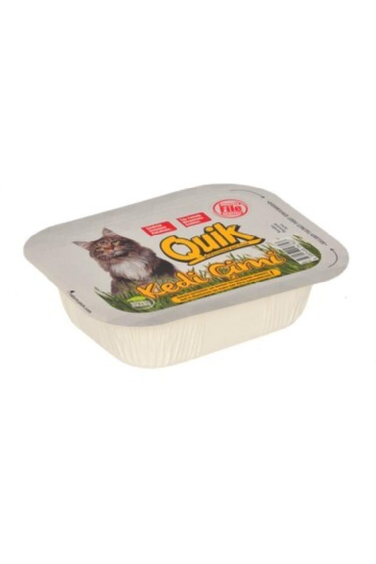 Kedi Çimi