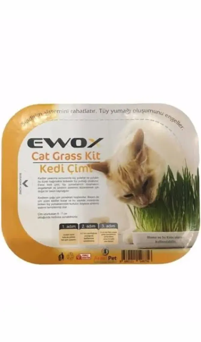 Ewox Kedi Çimi