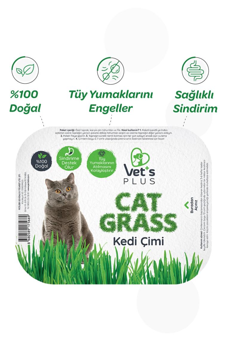 %100 Doğal Fileli Kedi Çimi (Tüy Yumağı Önleyici)