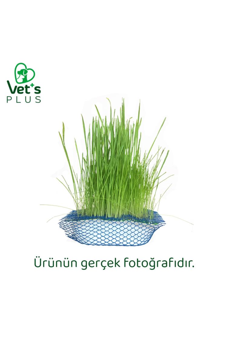 %100 Doğal Fileli Kedi Çimi (Tüy Yumağı Önleyici)
