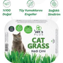 %100 Doğal Fileli Kedi Çimi (Tüy Yumağı Önleyici)