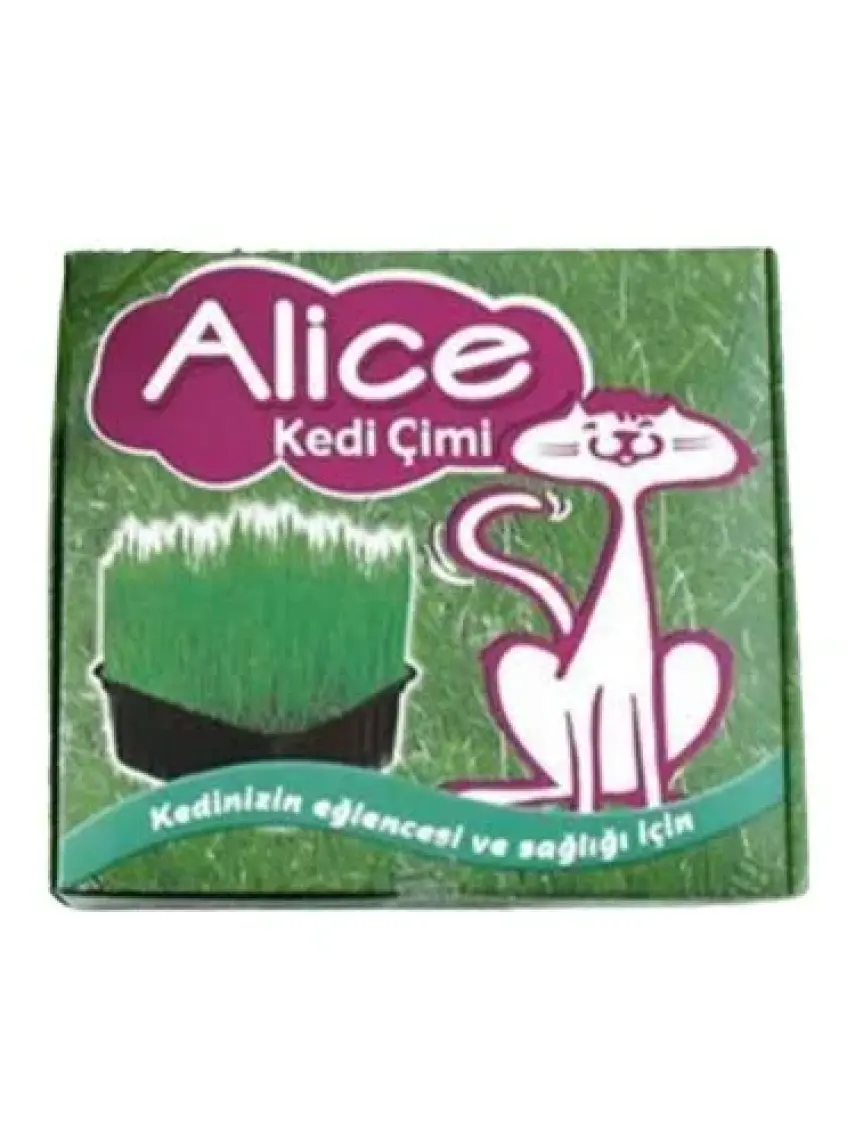 Alice Kedi Çimi