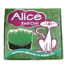 Alice Kedi Çimi