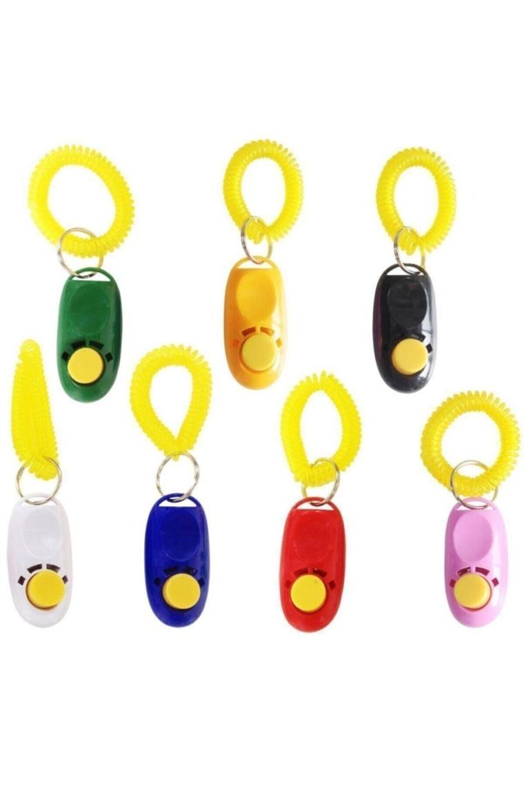 Kayış Clicker Eğitim 6 cm