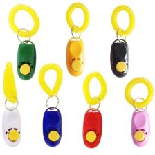 Kayış Clicker Eğitim 6 cm