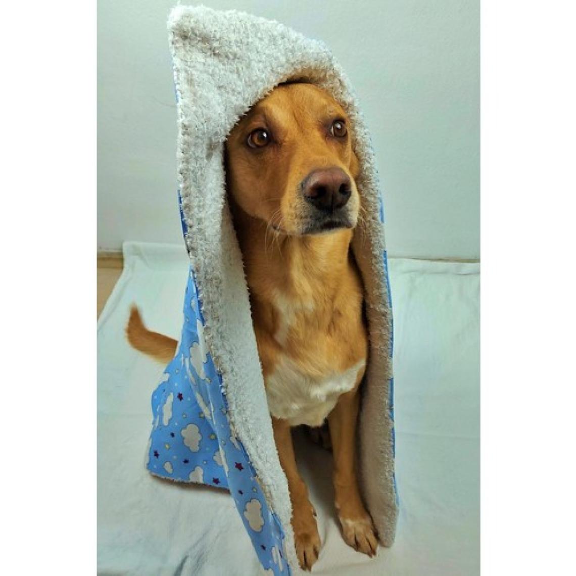 Utd Pet Fluffy Köpek Battaniyesi/yer Matı