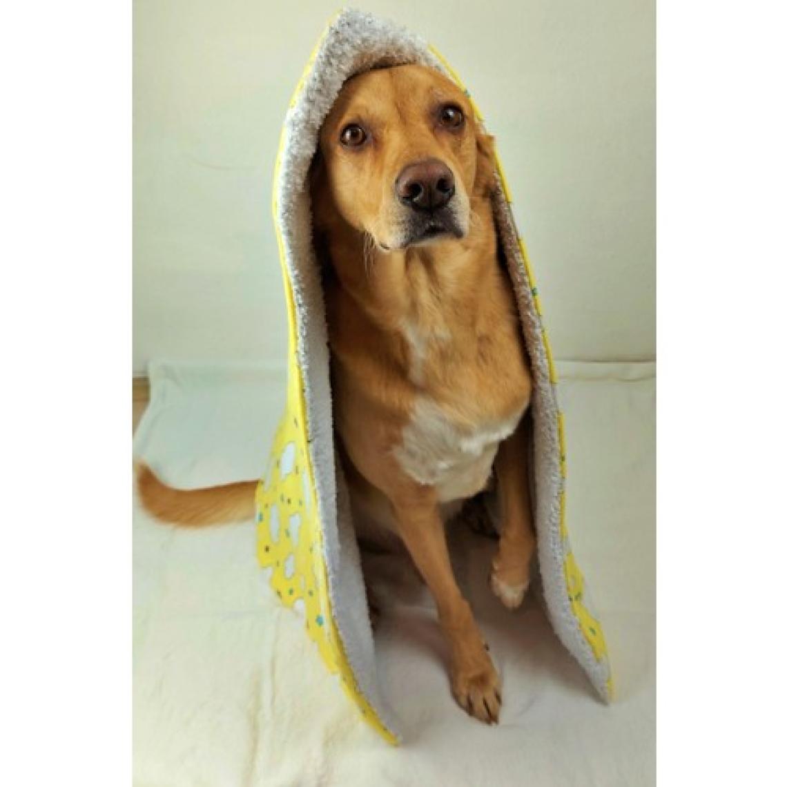 Utd Pet Fluffy Köpek Battaniyesi/yer Matı