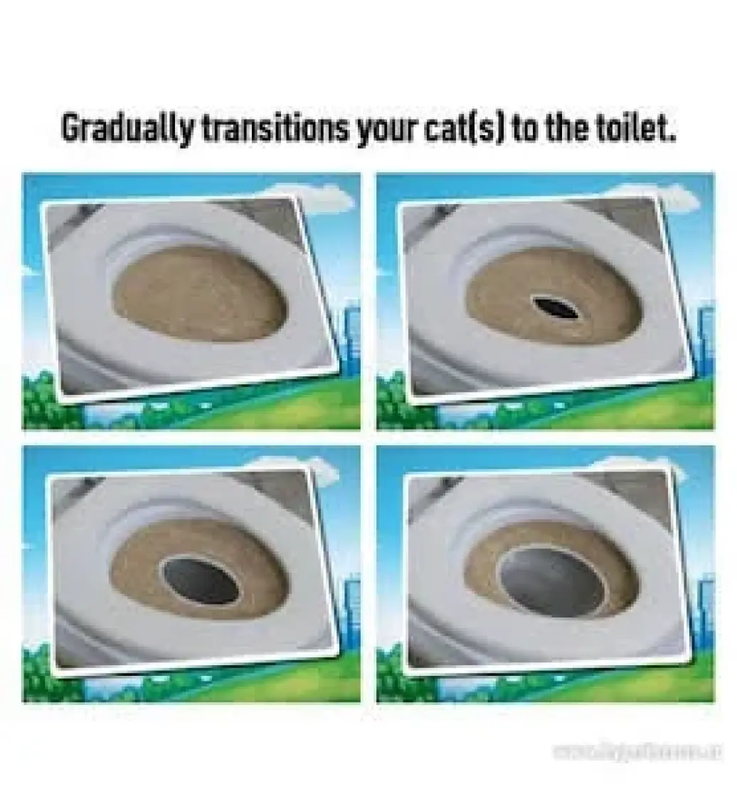 CitiKitty Kedi Tuvaleti Kedi Klozet Eğitim Seti